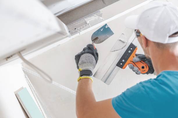 Best Commercial Mold Inspection  in El Paso, TX